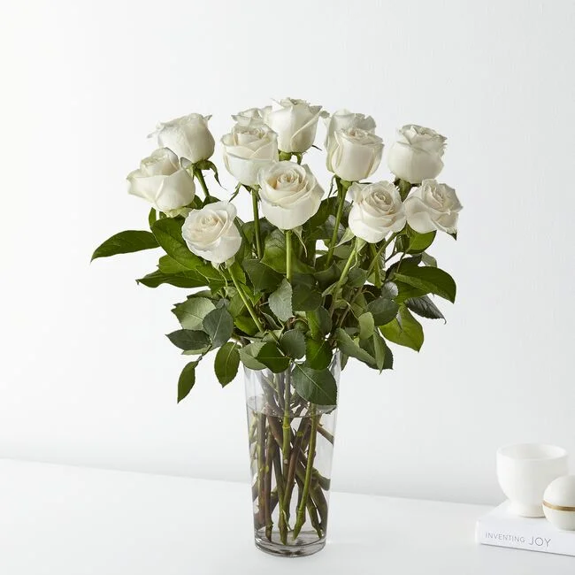 /images/products/mavie/img-2.webp