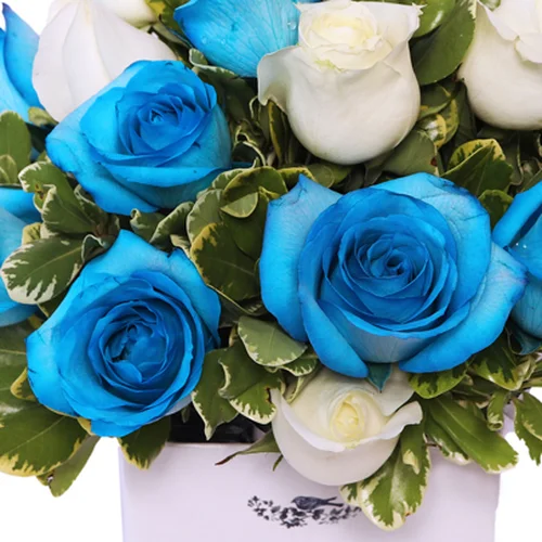 /images/products/mix-rosas/img-2.webp