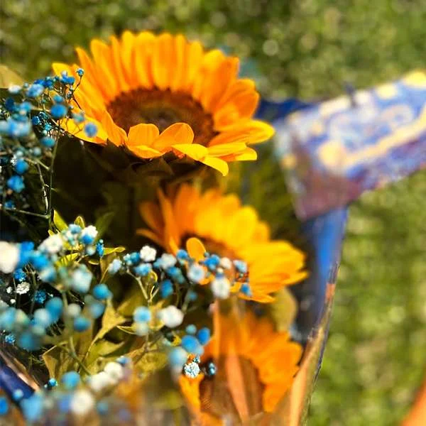 /images/products/ramalhete/img-2.webp