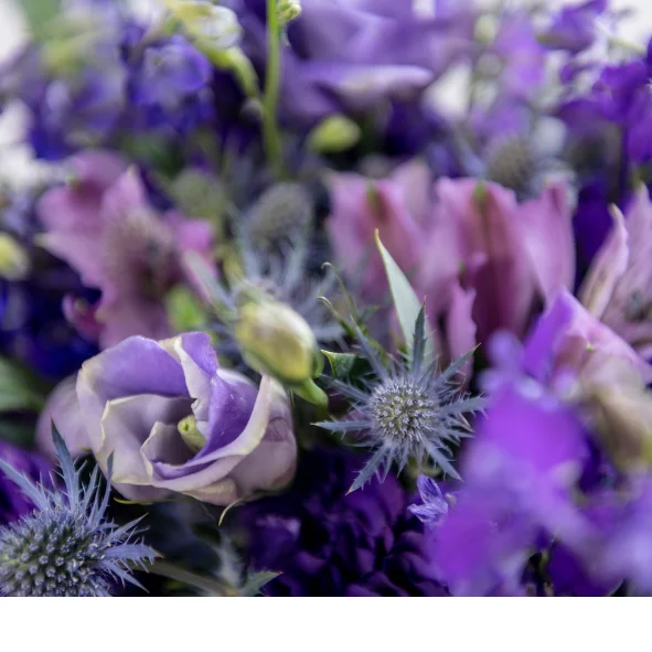 /images/products/vaso-lilas/img-2.webp
